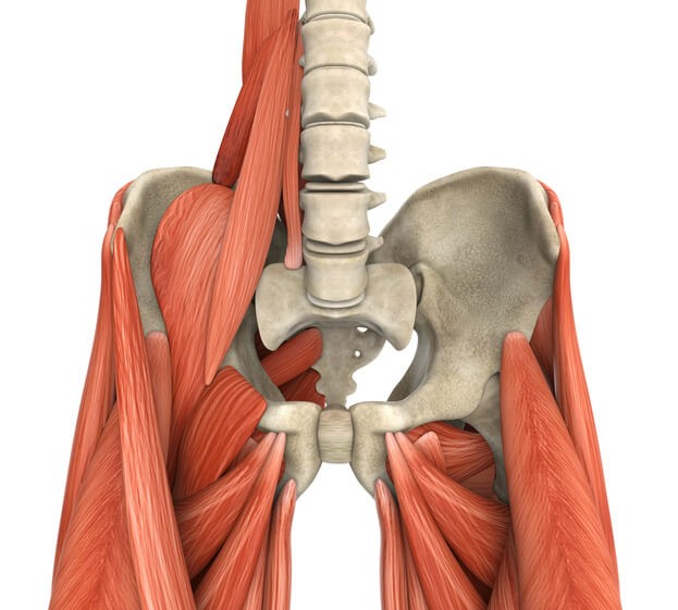 El Psoas Iliaco